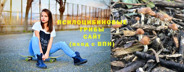 соль ск Балабаново