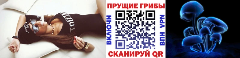 Купить закладки  Асино  Галлюциногенные грибы GOLDEN TEACHER 